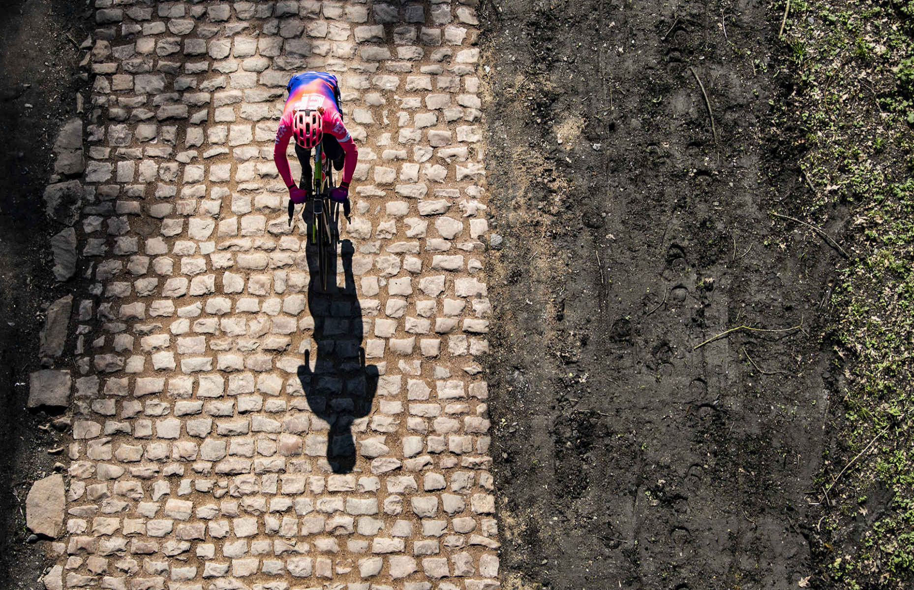 Paris-Roubaix - 2019