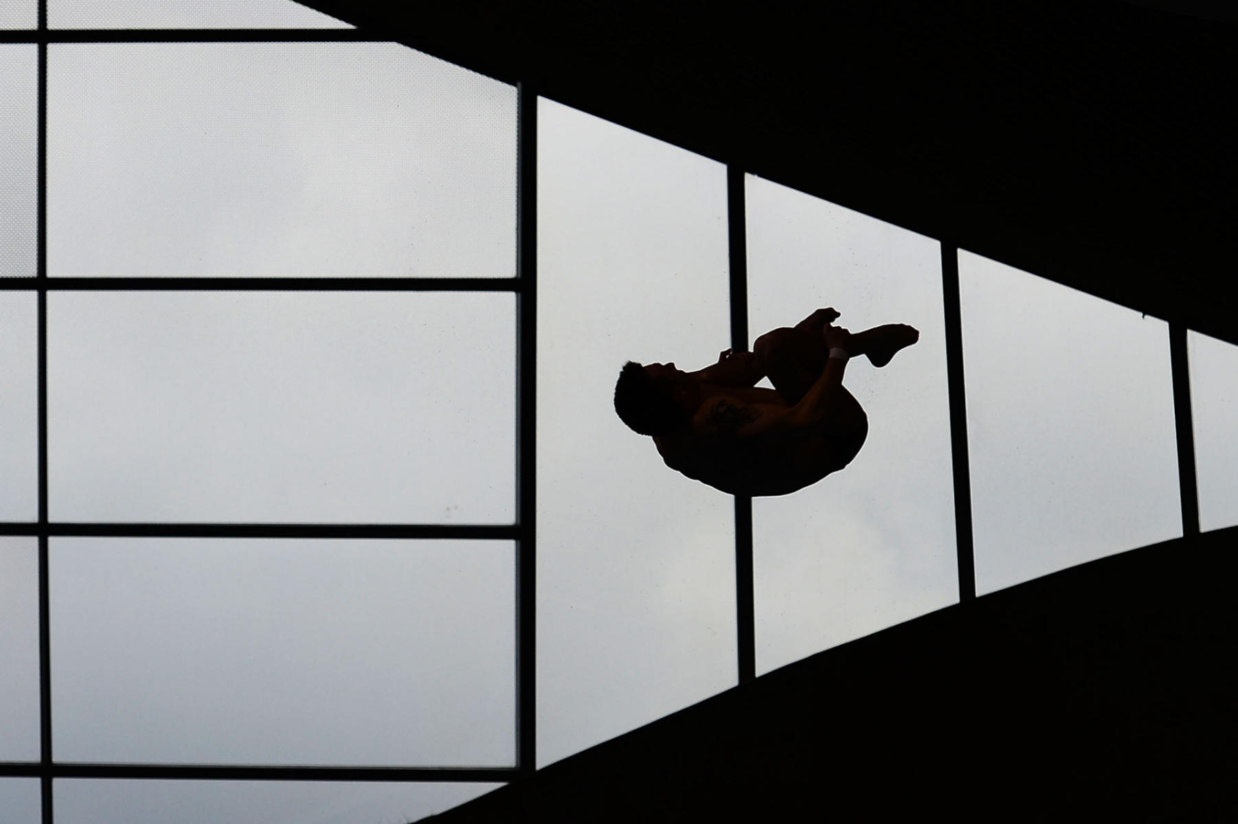 FINA Diving World Series London